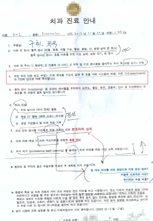 동물병원 의료사고